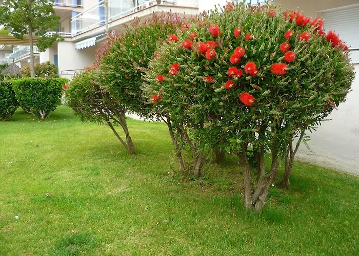 Piscines - Climatisation - Calme - Wifi - Plages - Vue - Bord De - Parking * Roses